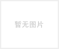 青岛FY系列气动插桶泵、FY3.2T-2气动浆料泵，气动浓浆泵